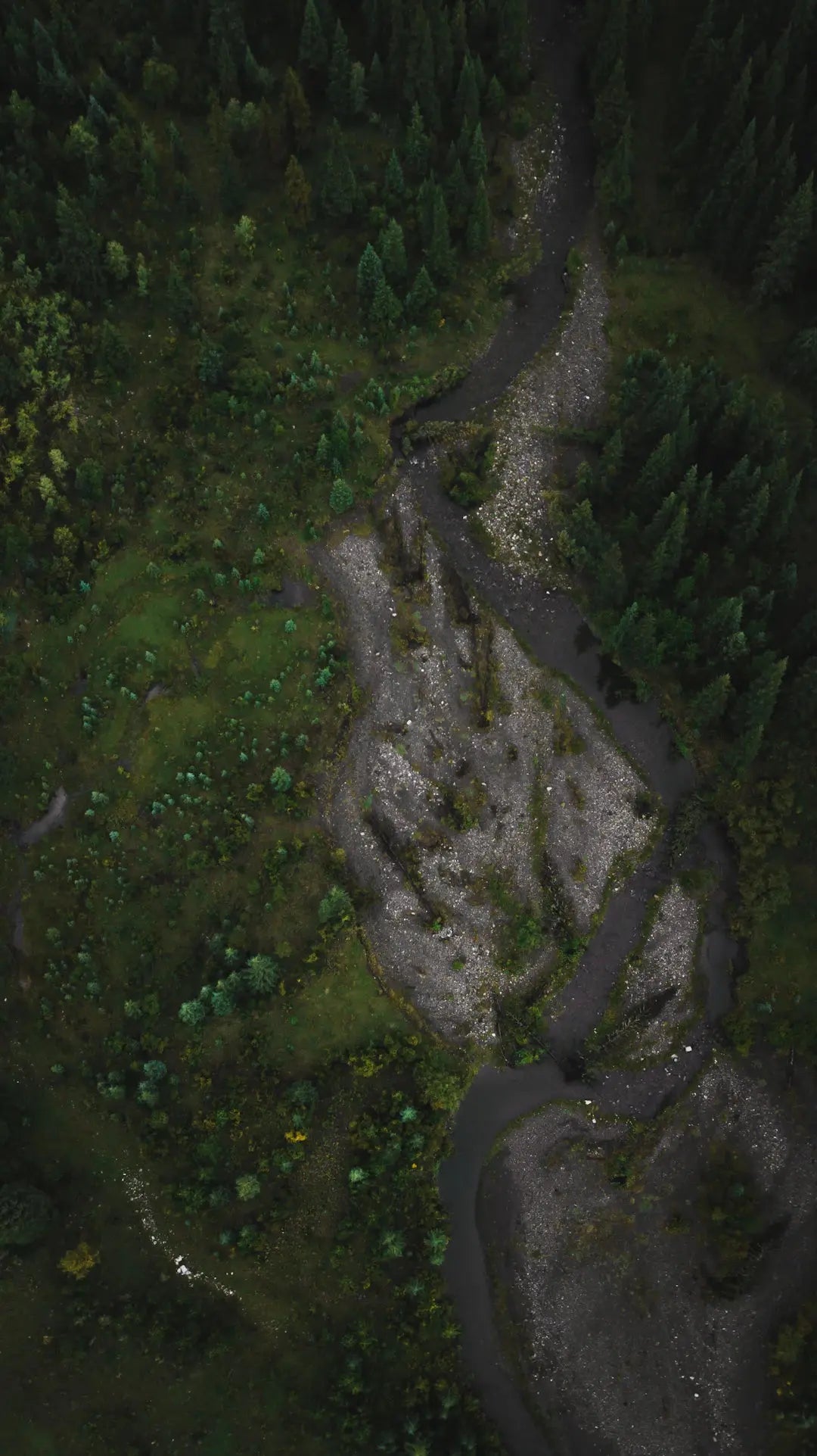 The Role of Drones in Environmental Conservation