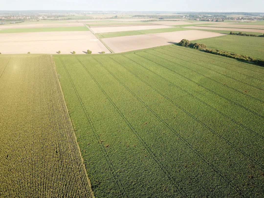 Precision Agricultural Drones for Enhanced Farming Efficiency