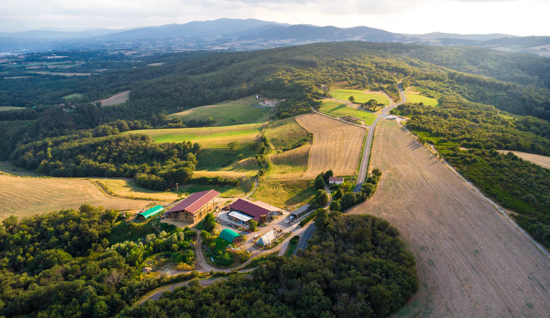 Transforming Agriculture Top Uses of Drones in Farming
