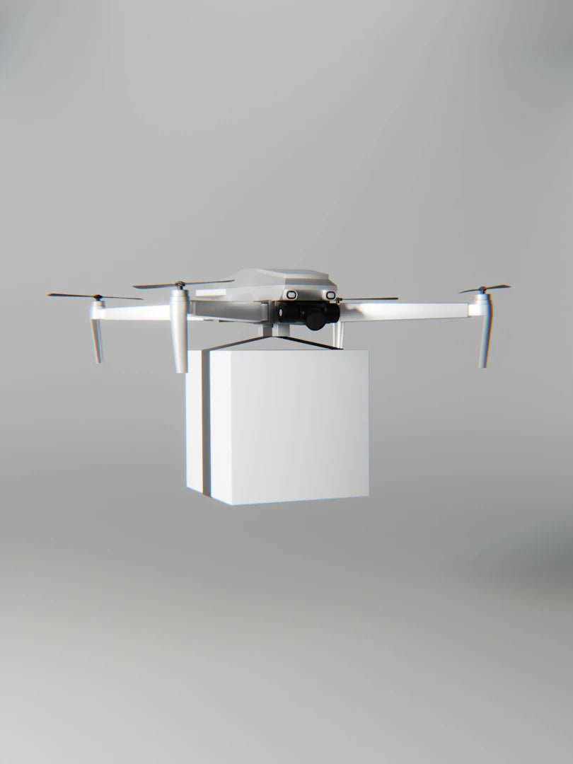 The Future of Drone Delivery Services