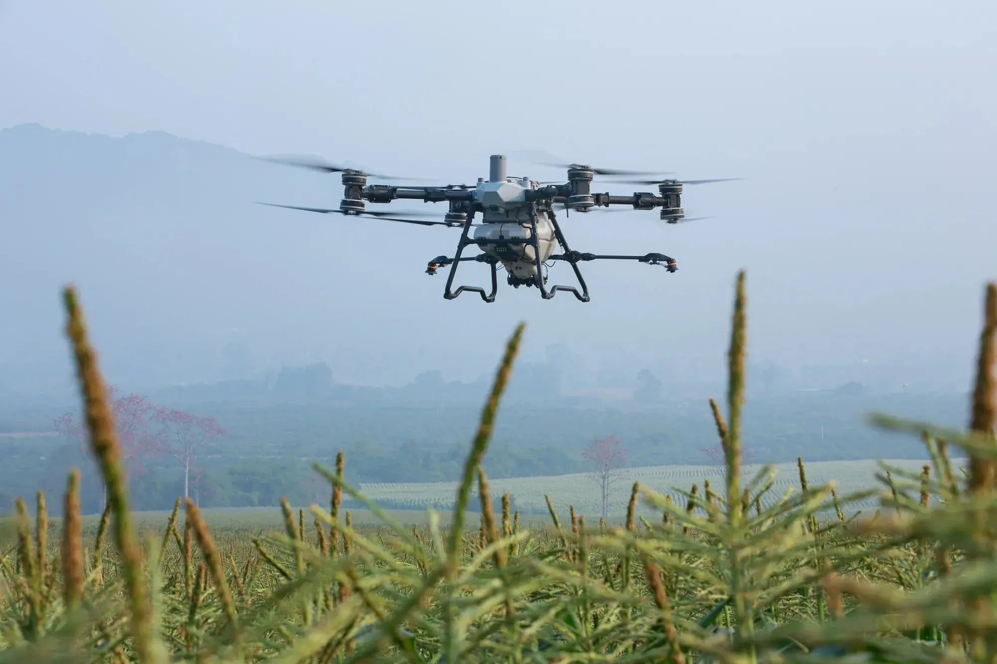 DJI Agras T100 Agriculture Spraying Drone - Ready to Fly Kit - Dronez Technologies