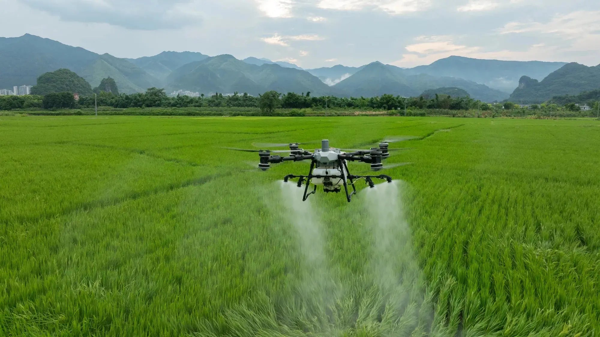 DJI Agras T100 Agriculture Spraying Drone - Ready to Fly Kit - Dronez Technologies